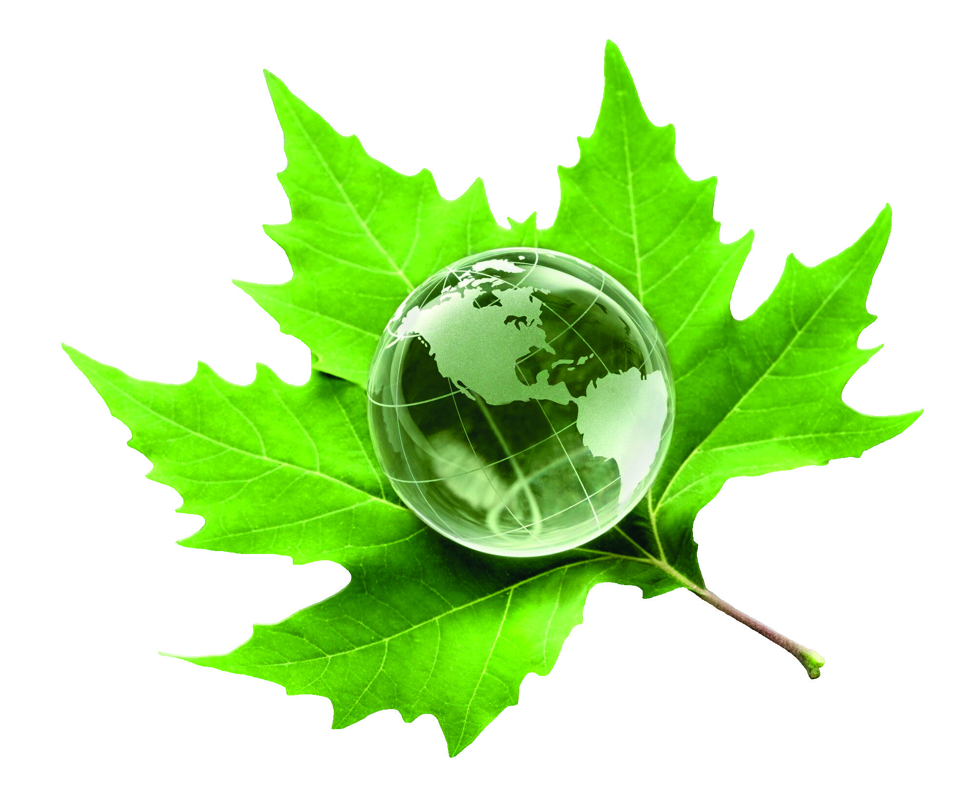 Environmental commitment